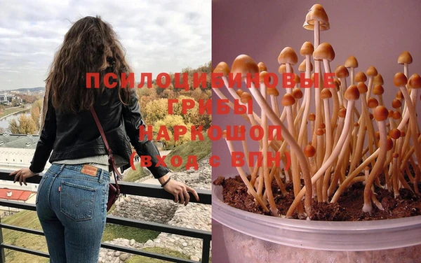марки nbome Абаза