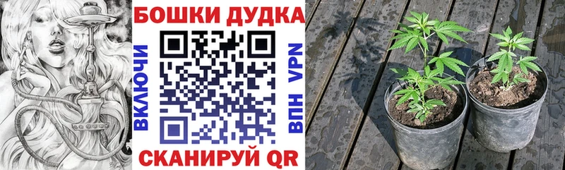 Марихуана план  darknet Telegram  Симферополь  omg сайт 